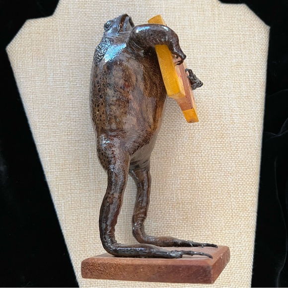 Froggy - Picture 8 of 10